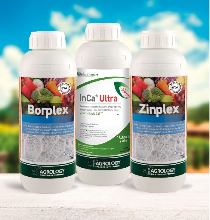 Borplex-InCa Ultra-Zinplex-Η συμμαχία των μετασυλλεκτικών εφαρμογών