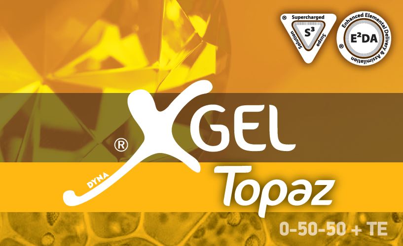 XGel Topaz-Αύξηση Παραγωγής στο Βαμβάκι