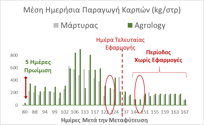 Εικόνα 3. Παραγωγή Καρπών ανά Ημέρα Συγκομιδής (kg/στρ). Με την εφαρμογή του Προγράμματος Agrology, επιτεύχθηκαν: α) πρωίμιση παραγωγής κατά 5 ημέρες και β) ομοιομορφία συγκομιδών χωρίς μεγάλες διακυμάνσεις μεταξύ των 2 διαδοχικών ημερών συγκομιδής, συγκριτικά με του Μάρτυρα.