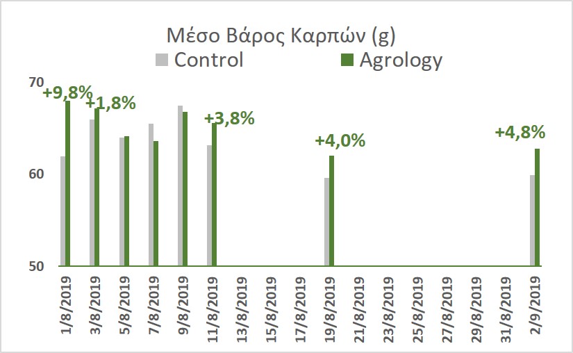 Εικόνα 3. Μέσο Βάρος Καρπών (g). Με την εφαρμογή του Προγράμματος Agrology, επιτεύχθηκε αύξηση του μέσου βάρους καρπών έως και 9,8%, συγκριτικά με τον Μάρτυρα.  