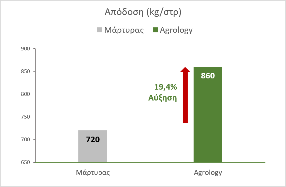 Εικόνα 2. Συνολική Παραγωγή Καρπών (kg ανά στρ.). Με την εφαρμογή του προγράμματος Agrology, επετεύχθη αύξηση της παραγωγής κατά 140 kg/στρ. (+19,4%), συγκριτικά με τον Μάρτυρα.