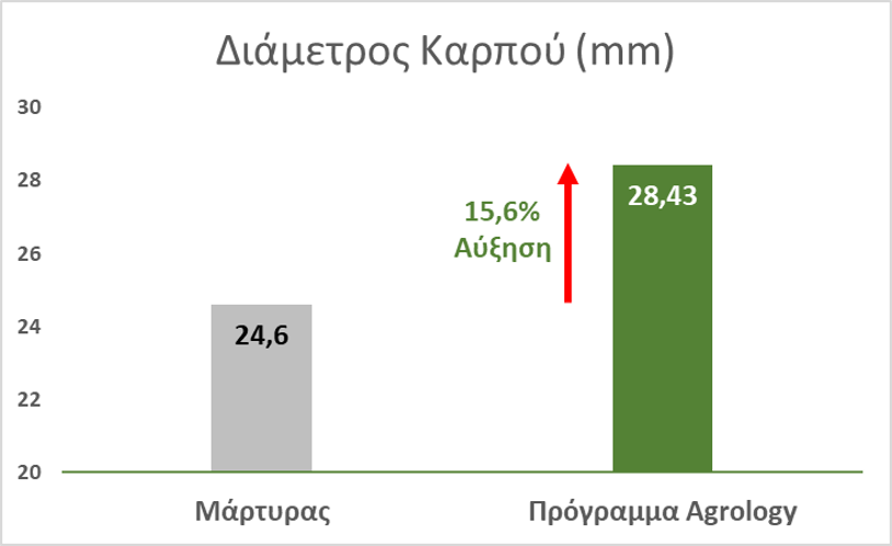 Εικόνα 4. Διάμετρος Καρπού (mm) Με την εφαρμογή του προγράμματος Agrology, επιτεύχθηκε αύξηση της διαμέτρου των καρπών κατά 15,6%, συγκριτικά με τον Μάρτυρα.