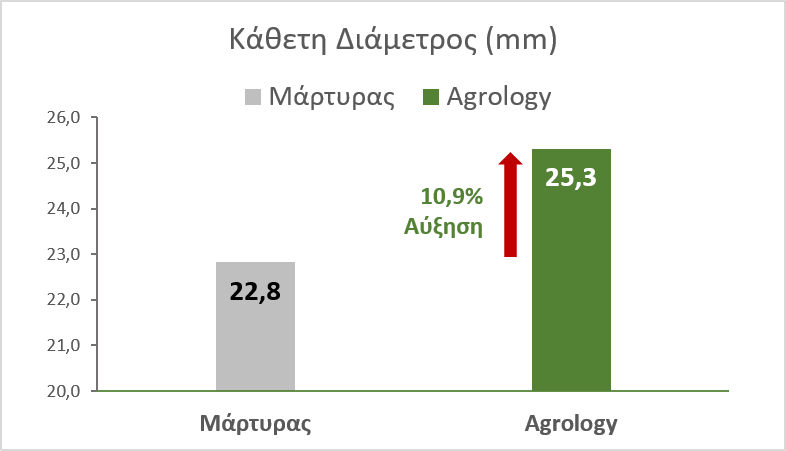 Εικόνα 2. Κάθετη Διάμετρος Καρπών (mm). Με την εφαρμογή του Προγράμματος Agrology, επιτεύχθηκε αύξηση της κάθετης διαμέτρου των καρπών κατά 2,5 mm (+10,9%), κατά μέσο όρο, συγκριτικά με τον Μάρτυρα.