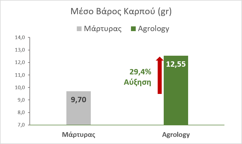 Εικόνα 6. Μέσο Βάρος Καρπών. Με την εφαρμογή του Προγράμματος Agrology, επιτεύχθηκε αύξηση του βάρους των καρπών κατά 2,9 gr (+ 29,4%), συγκριτικά με τον Μάρτυρα